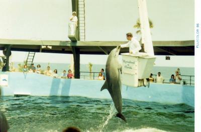 フロリダ１週間の旅  1986-6