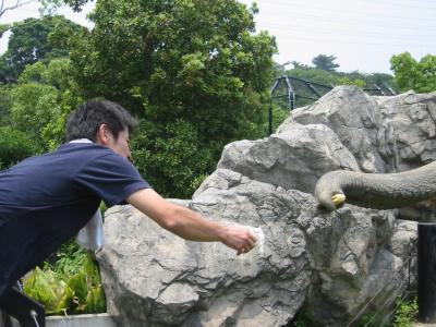 到津の森公園のトラ編  2006-6-12