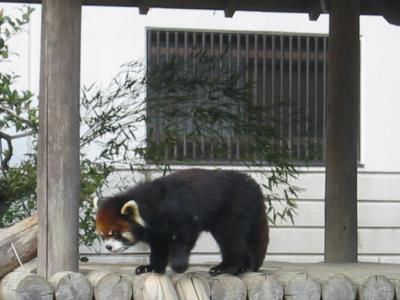福岡市動植物園  2007-3-3