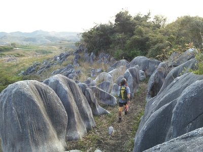 珠玉のトレイル!~平尾台・貫山~ 珠玉のトレイル!~平尾台・貫山~
