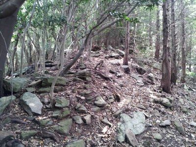 坂の街の激坂の山~八郎岳~ 坂の街の激坂の山~八郎岳~