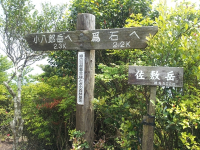 坂の街の激坂の山~八郎岳~ 坂の街の激坂の山~八郎岳~