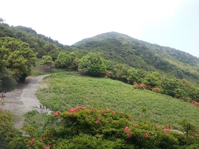 坂の街の激坂の山~八郎岳~ 坂の街の激坂の山~八郎岳~