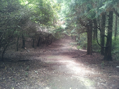 坂の街の激坂の山~八郎岳~ 坂の街の激坂の山~八郎岳~