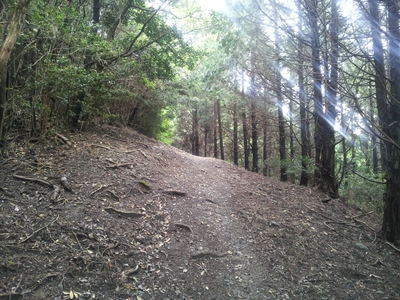 坂の街の激坂の山~八郎岳~ 坂の街の激坂の山~八郎岳~