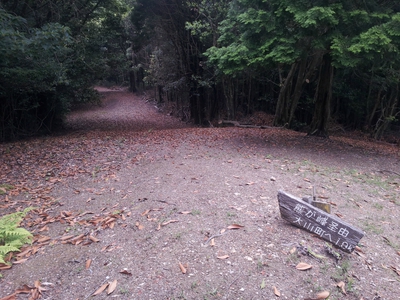 坂の街の激坂の山~八郎岳~ 坂の街の激坂の山~八郎岳~
