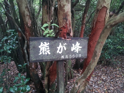 坂の街の激坂の山~八郎岳~ 坂の街の激坂の山~八郎岳~