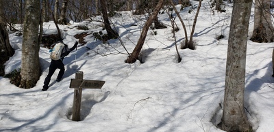 臥龍山でプチ雪山気分!? 臥龍山でプチ雪山気分!?