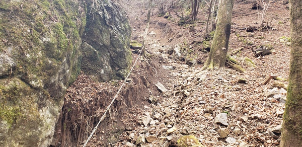 久々に会いに行ってきました~仰烏帽子山~ 久々に会いに行ってきました~仰烏帽子山~