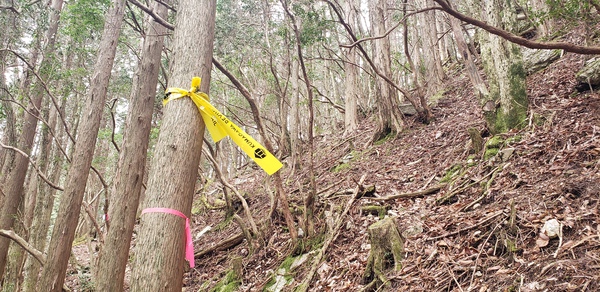 久々に会いに行ってきました~仰烏帽子山~ 久々に会いに行ってきました~仰烏帽子山~