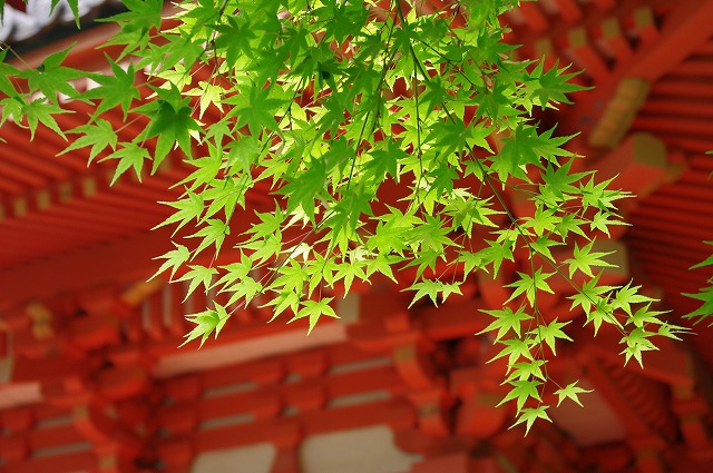 小細工