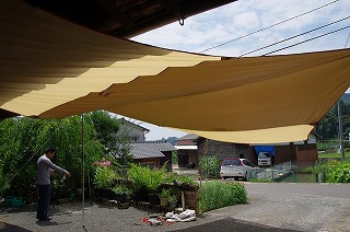 すもも その2