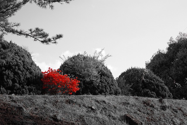 闇の感情