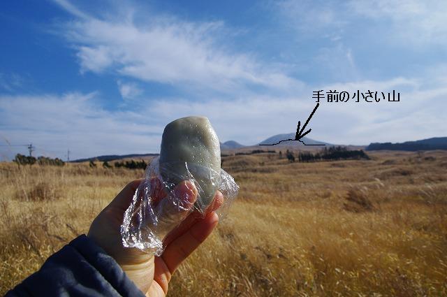 冬眠