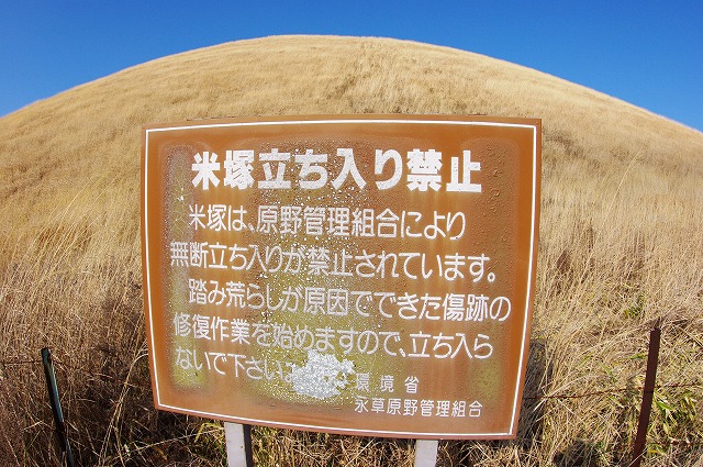 冬眠