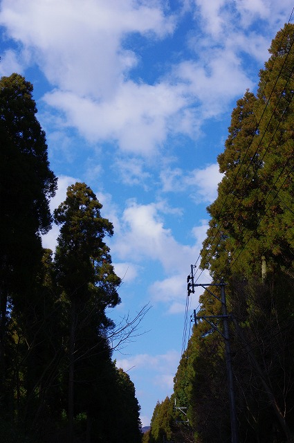 君の青