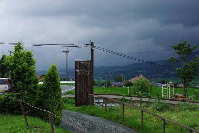 草食系