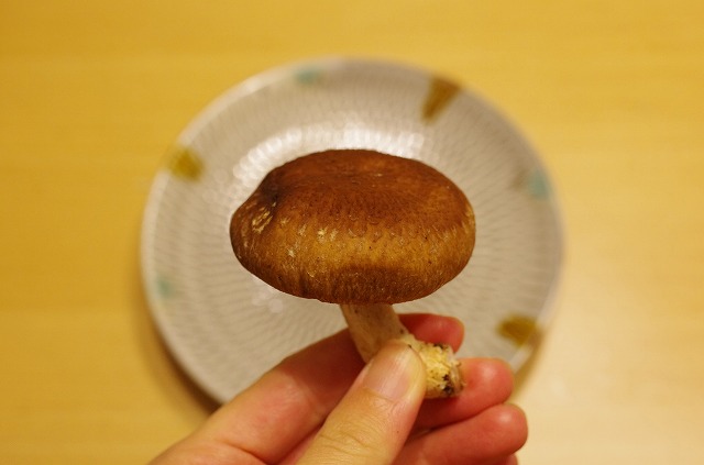 夕食