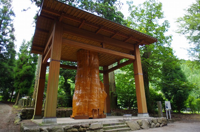 杉さま