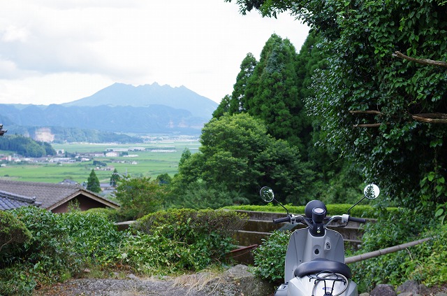杉さま
