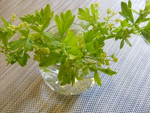 鮎皿でいなり寿司。