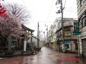 愛媛県ぶらブラリ(四国めぐり1日目) 愛媛県ぶらブラリ(四国めぐり1日目)