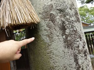 肥前鳥居その18 、佐賀県新北神社