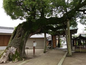 肥前鳥居その18 、佐賀県新北神社