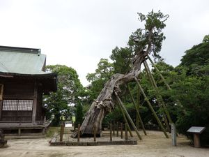 肥前鳥居その18 、佐賀県新北神社