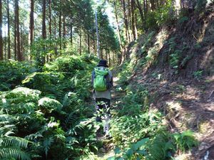 天童岩って黒髪山の山頂じゃない?