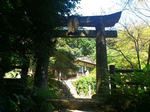 天童岩って黒髪山の山頂じゃない?