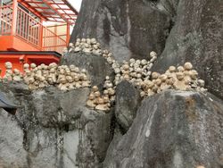 城山鬼子母神でテンションを上げる