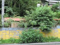廃墟なラブホ