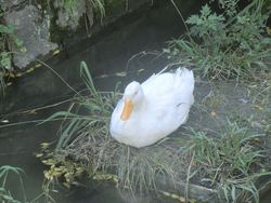 さが恵比須八十八ヶ所巡りその6