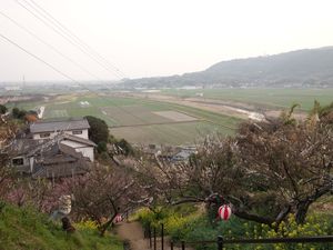肥前鳥居巡りその6 、佐賀県牛尾神社