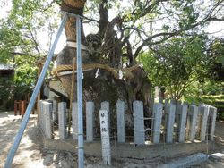 佐賀県櫛田宮