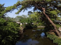 佐賀県櫛田宮