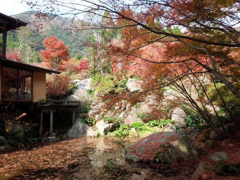 厳木町「環境芸術の森」のモミジ見頃です 厳木町「環境芸術の森」のモミジ見頃です