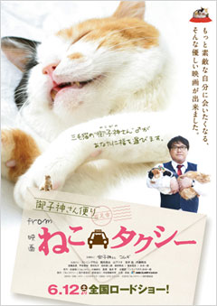 平和商事不動産部の猫ちゃんは・・・