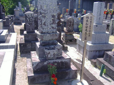 相良 知安
