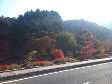 マチレスで紅葉を…その後、第二のトラブル発生