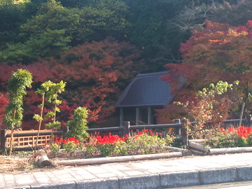 マチレスで紅葉を…その後、第二のトラブル発生