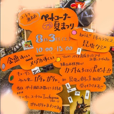 ユートク鹿島店ペットコーナーよりお知らせです!