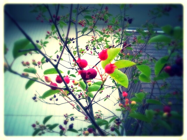 雨の日はココ♪