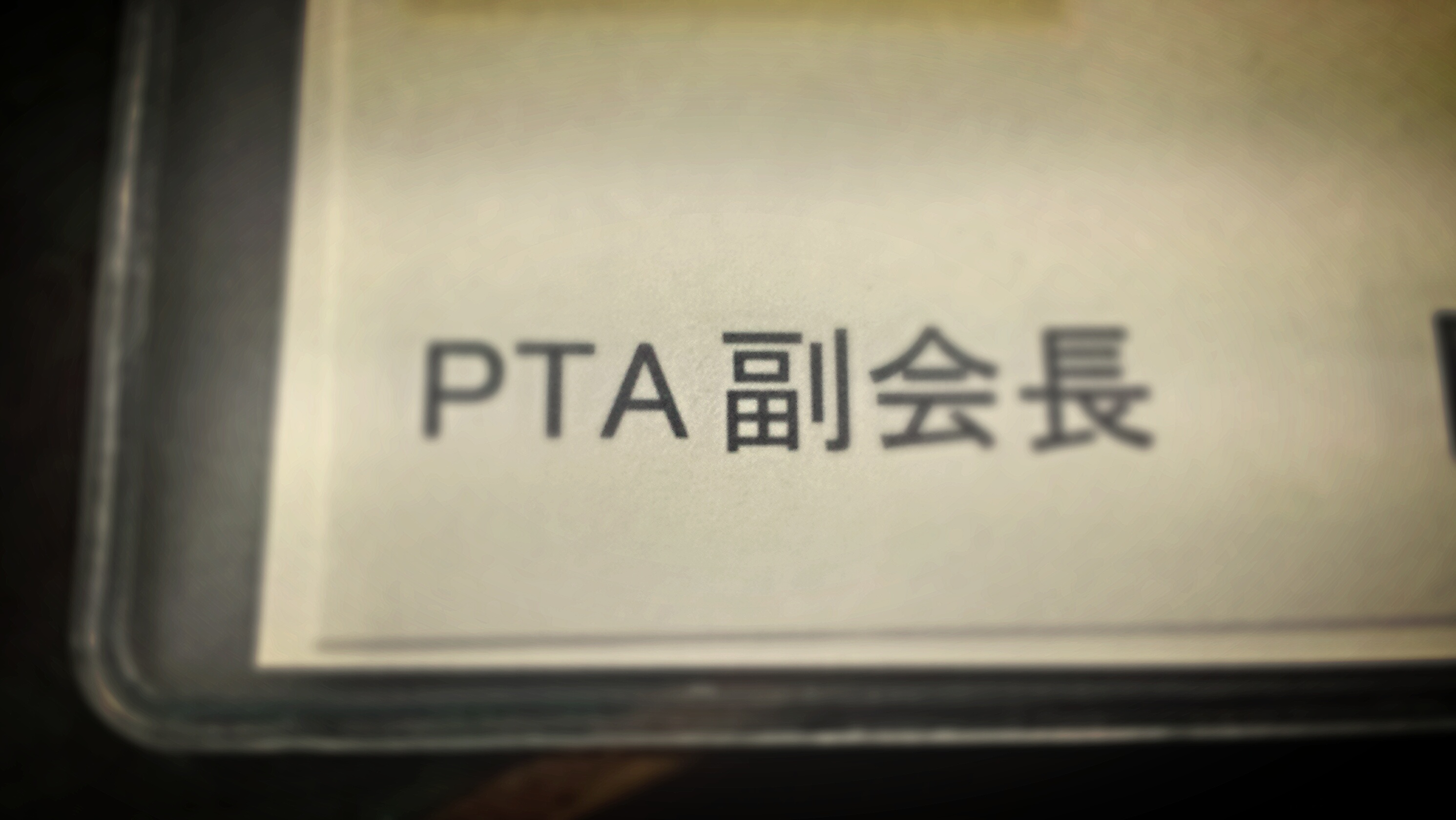 任命されました! 任命されました!