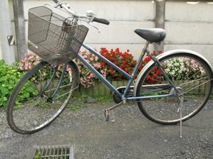 お尻が痛い!