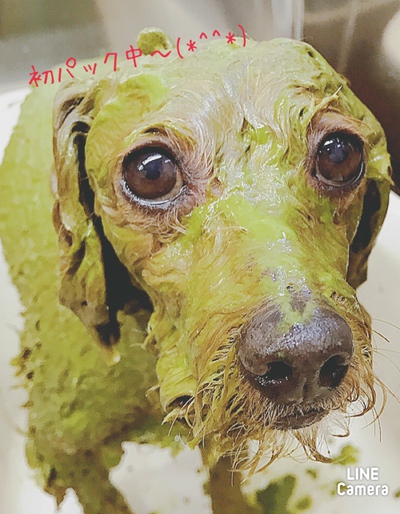 最新✨空き状況のお知らせです 最新✨空き状況のお知らせです