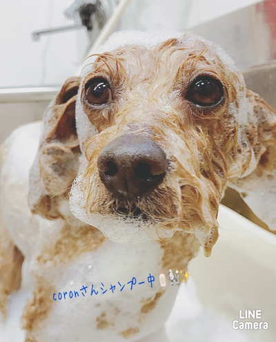 最新✨空き状況のお知らせです 最新✨空き状況のお知らせです