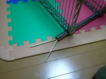 引っ越し準備(・_・;)