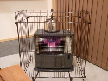 オシャレより暖かさ